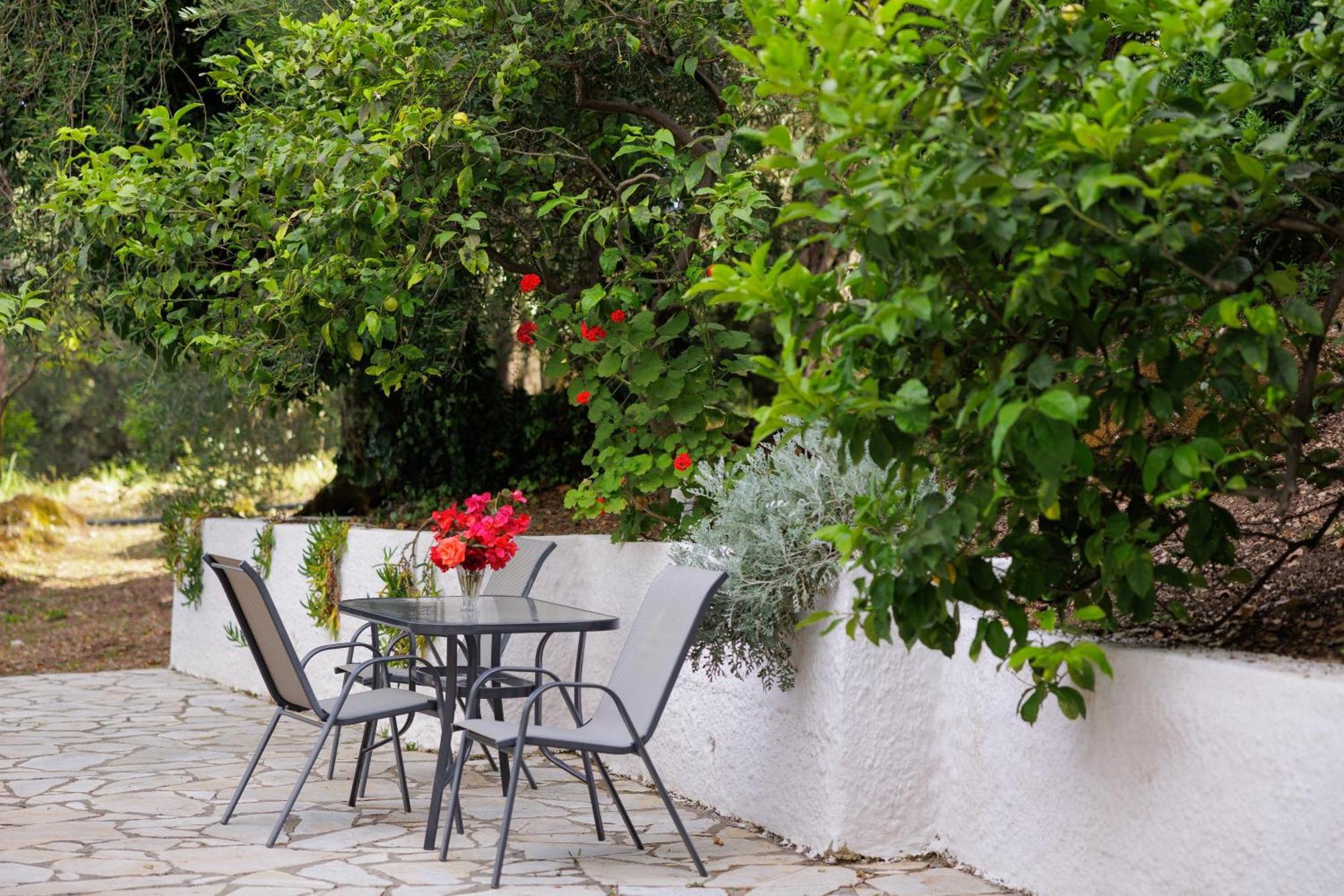 Santos Holidays Dassia  Dış mekan fotoğraf