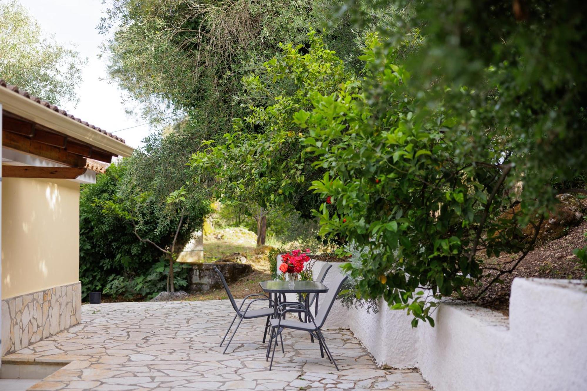 Santos Holidays Dassia  Dış mekan fotoğraf